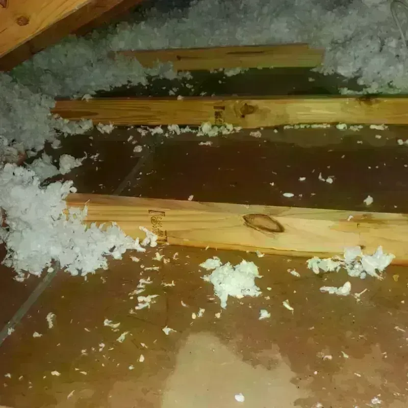 Attic Water Damage in Amelia County, VA